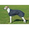 Whippet and greyhound Quilt and Fleece dog coat